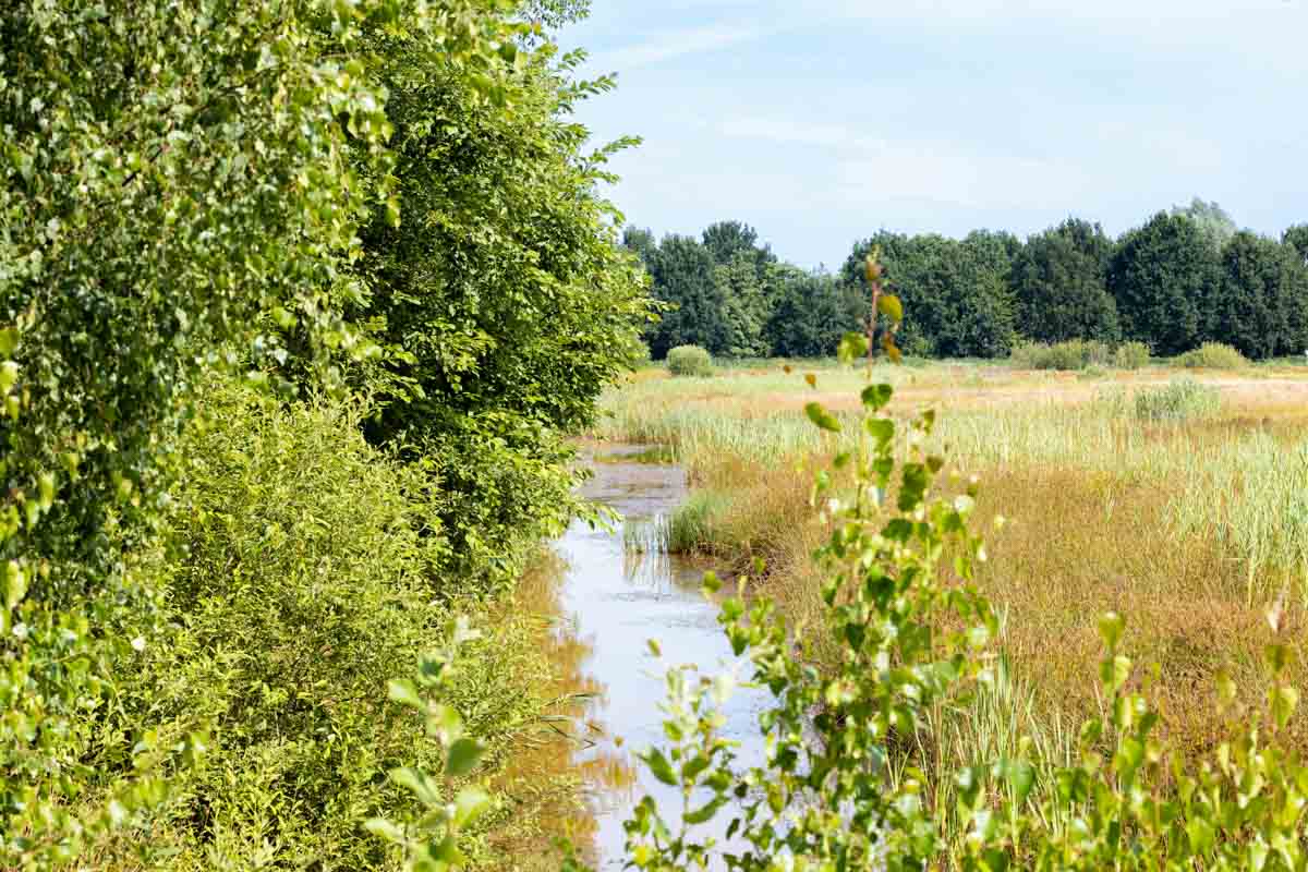 De Nieuwe Wildernis in Hapert