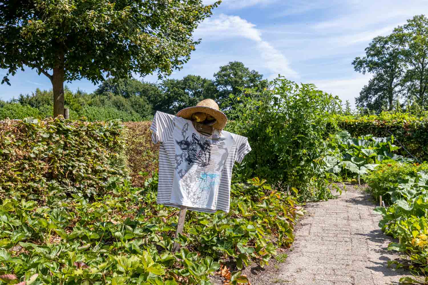 de Moestuin Zorgboerderij Buitengewoon