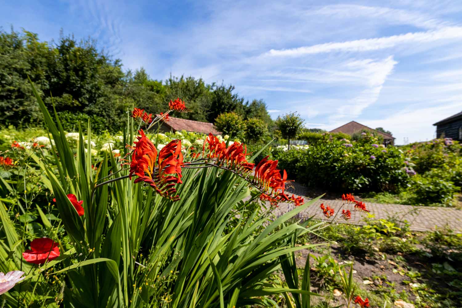 de Moestuin Zorgboerderij Buitengewoon